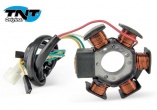 Stator TNT Derbi + AM6 (Allumage Ducati)