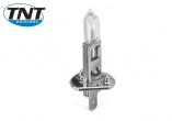 Ampoule halogène H1 P14 12V 55W