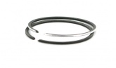 Segments Polini d.40x1,2 Booster (x2)