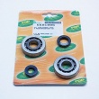 Kit roulements + joints Spy racing Buxy Trekker