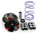 Variateur Malossi MHR Multivar Typhoon < 99 / NRG / NTT / Sfera / Storm