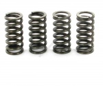 Ressorts embrayage Malossi AM6
