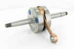 VILEBREQUIN BIDALOT MBK 51