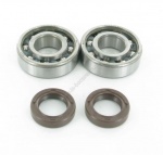 Kit roulements joints spy vilebrequin C4...