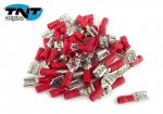 Cosses plattes femelles 6.5mm2 ( 50 pi�ces )