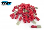 Cosses plattes males rouge 6.5mm2 ( 50 pi�ces )