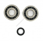 Kit roulements + joints spi majesty 125 4t