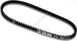 Courroie Malossi Special Belt Typhoon Stalker NRG