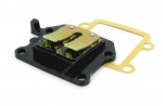 Clapet Top Performances Carbone Booster Stunt