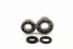 Kit roulements renforc�s + joints spy Peugeot