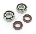 Kit roulements skf + joints spy derbi euro 2/3