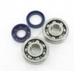 Kit roulements + joints spy AM6