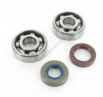 Kit roulements skf + joints spy am6