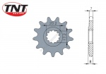 Pignon AM6 428