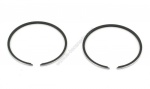 Segments RGD D.40 AM6