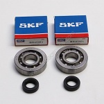 Kit roulements + Joints spy Peugeot Fox