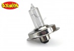 Ampoule Collerette Blanche 6V 20W