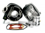 Cylindre culasse doppler s1f fonte d.40 nitro