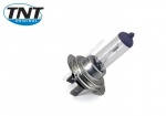 Ampoule halog�ne H7 PX 12V 55W