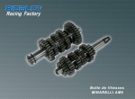 Boite de Vitesse Racing Factory Minarelli am6