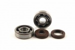 Kit roulements 6303 renforc�s + joints spy AM6