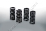 Ressorts de soupapes malossi x9 evo atlantic scarabeo 500