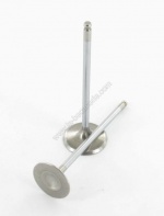 Soupapes malossi t-max