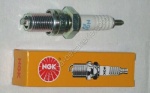 Bougie DR8HS NGK Standard MALAGUTI Ciak 50 de 2000 � 2001 