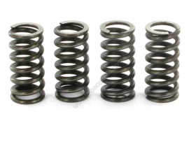 Ressorts embrayage malossi am6