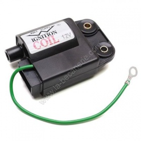 Bobine haute tension stalker typhoon runner 