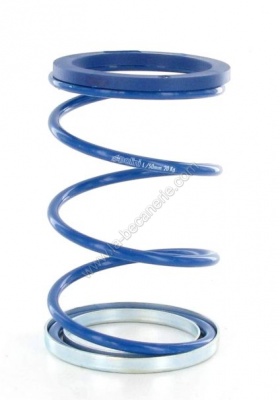 Ressort de pouss�e polini evo slider typhoon nrg