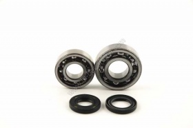 Kit roulements renforc�s + joints spy peugeot