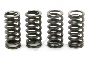 Ressorts embrayage Malossi AM6