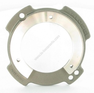 Platine Stator allumage Malossi MHR rotor interne Booster Nitro