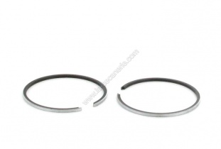 Segments D.39,94x1,5 Buxy Ludix Peugeot 103 (Type origine)