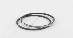 Segments Airsal D.40 (la paire) Buxy Zenith Speedake
