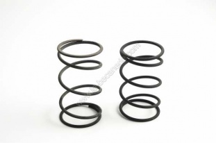 Kit de 2 Ressorts Variateur Top Performance Racing Booster, Nitro, SR