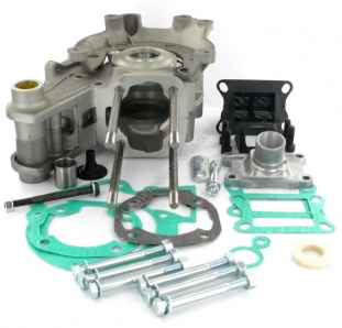 Carter moteur Malossi SP / MV avec Support moteur incorporé