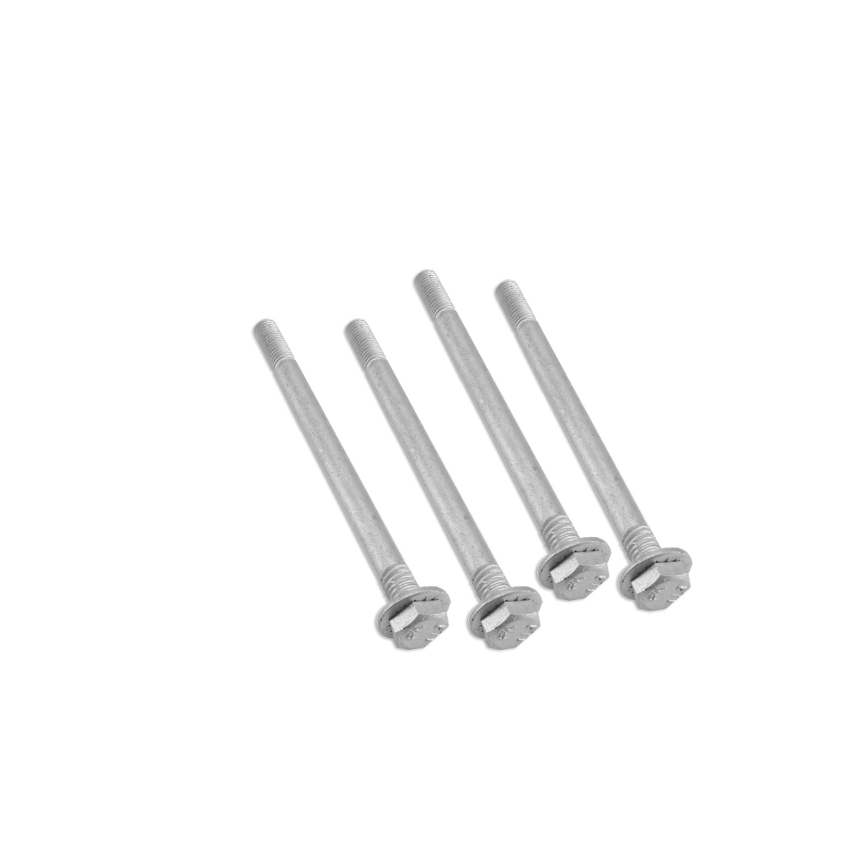 Goujons Complets Ludix-Speedfight (x4)