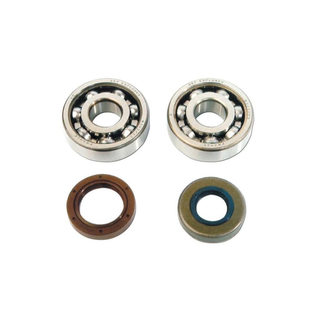 Kit roulements et spis SKF 6303 C3 AM6