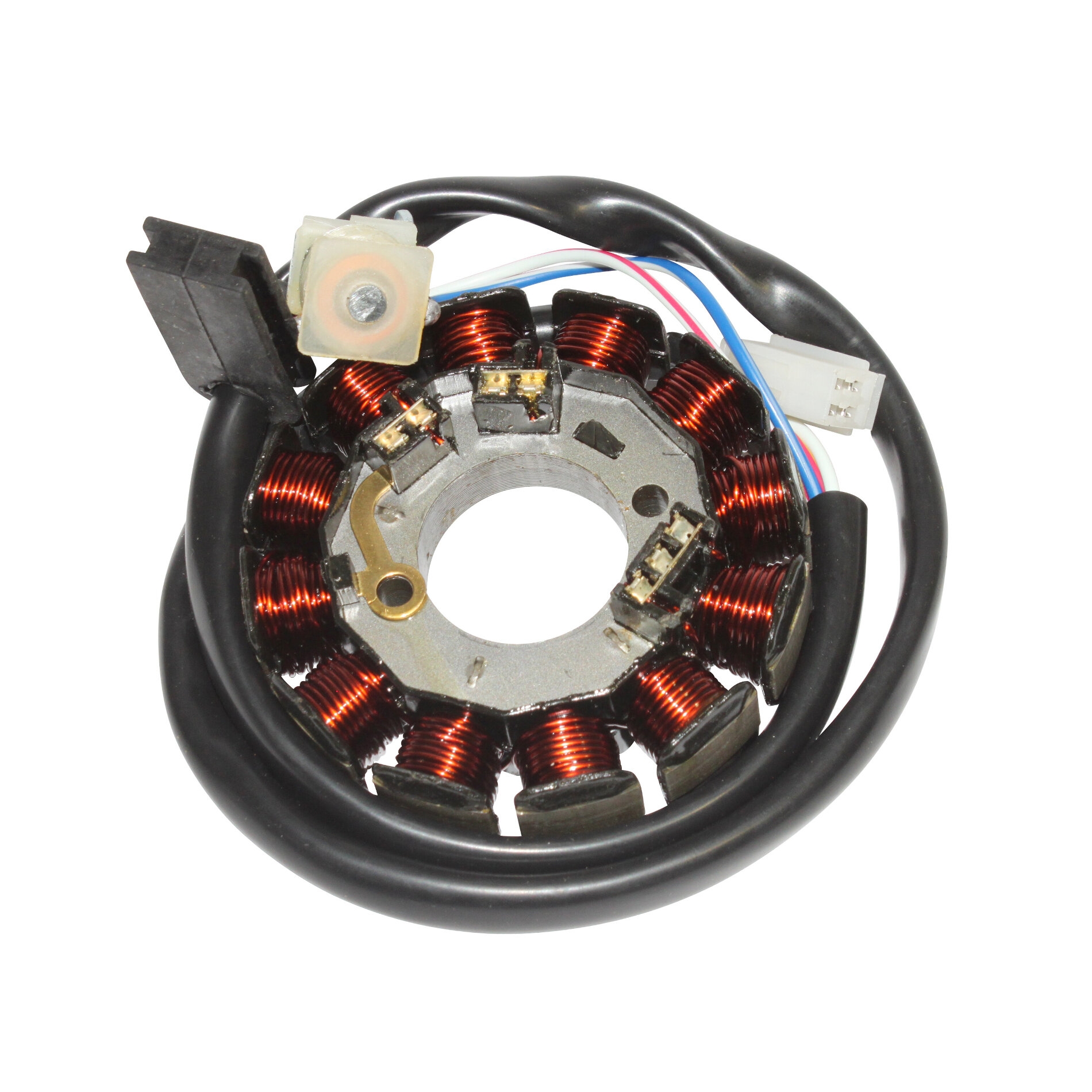 Stator allumage AM6 2007>