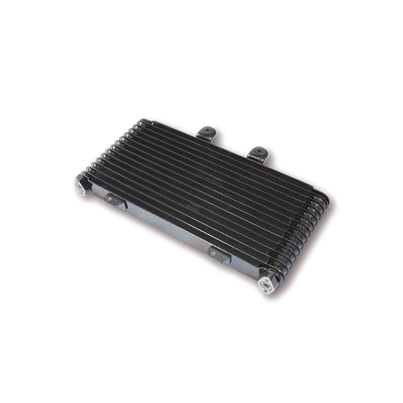 Radiateur d'huile Suzuki GSF 1200 Bandit WVA9 01-05