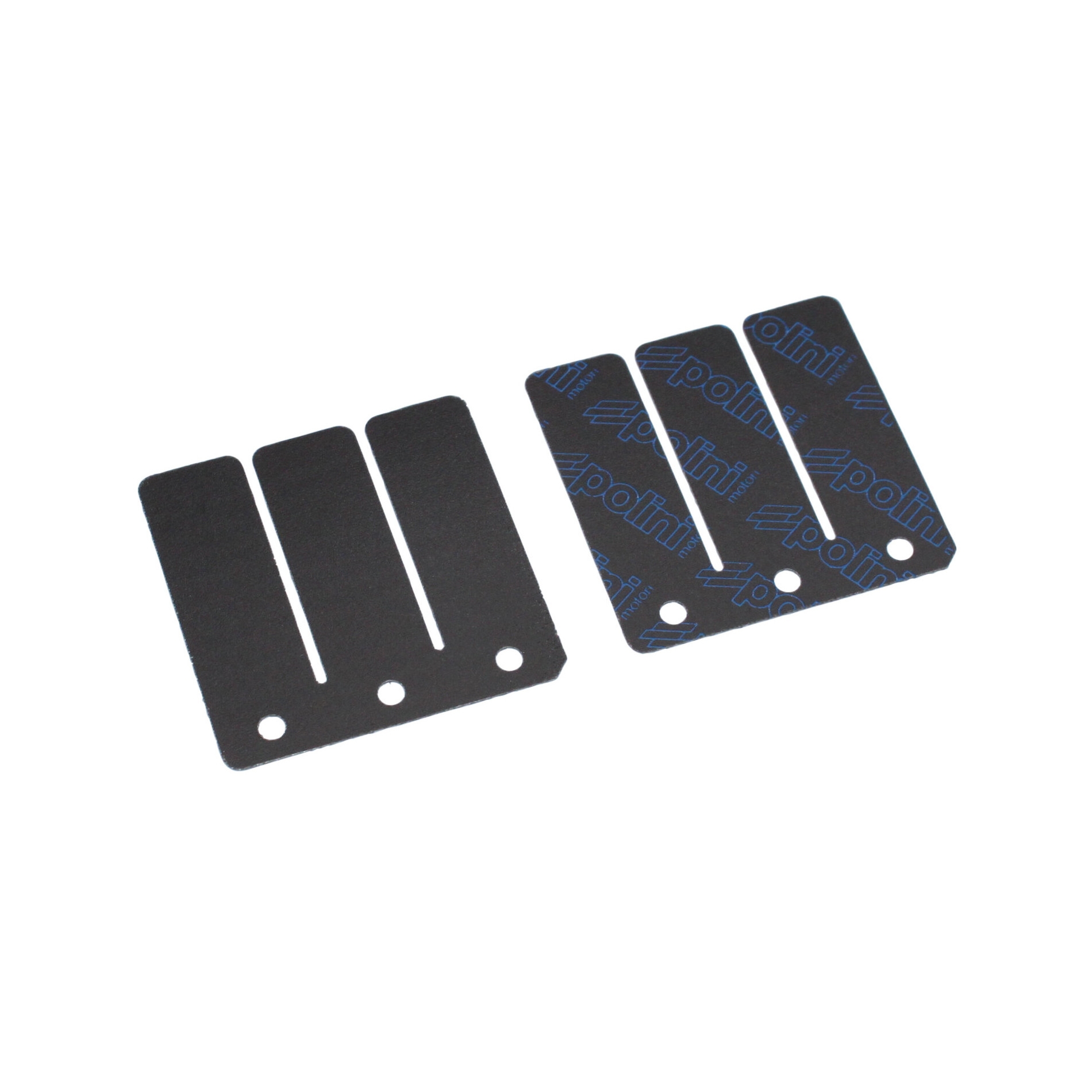 Lamelles Polini pour kit derbi senda