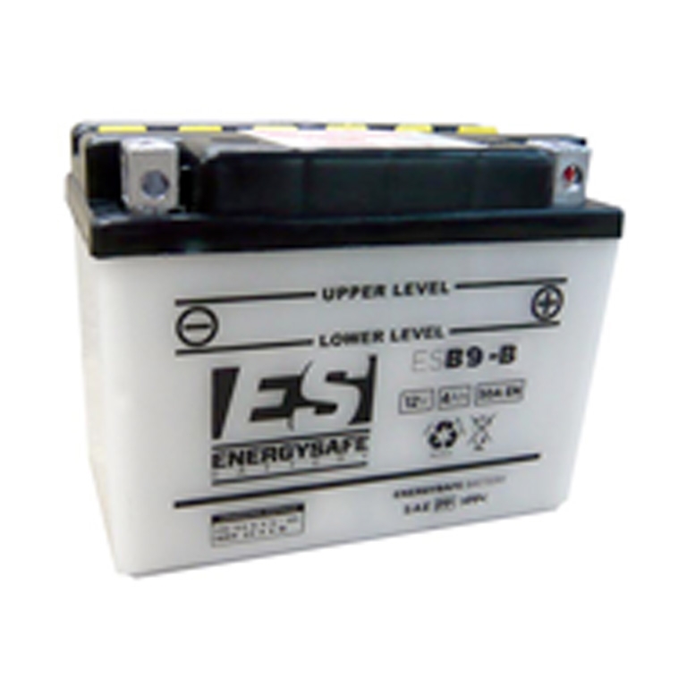 Batterie Energy Safe ESB9-B 12 V / 9 AH Pack acide inclus