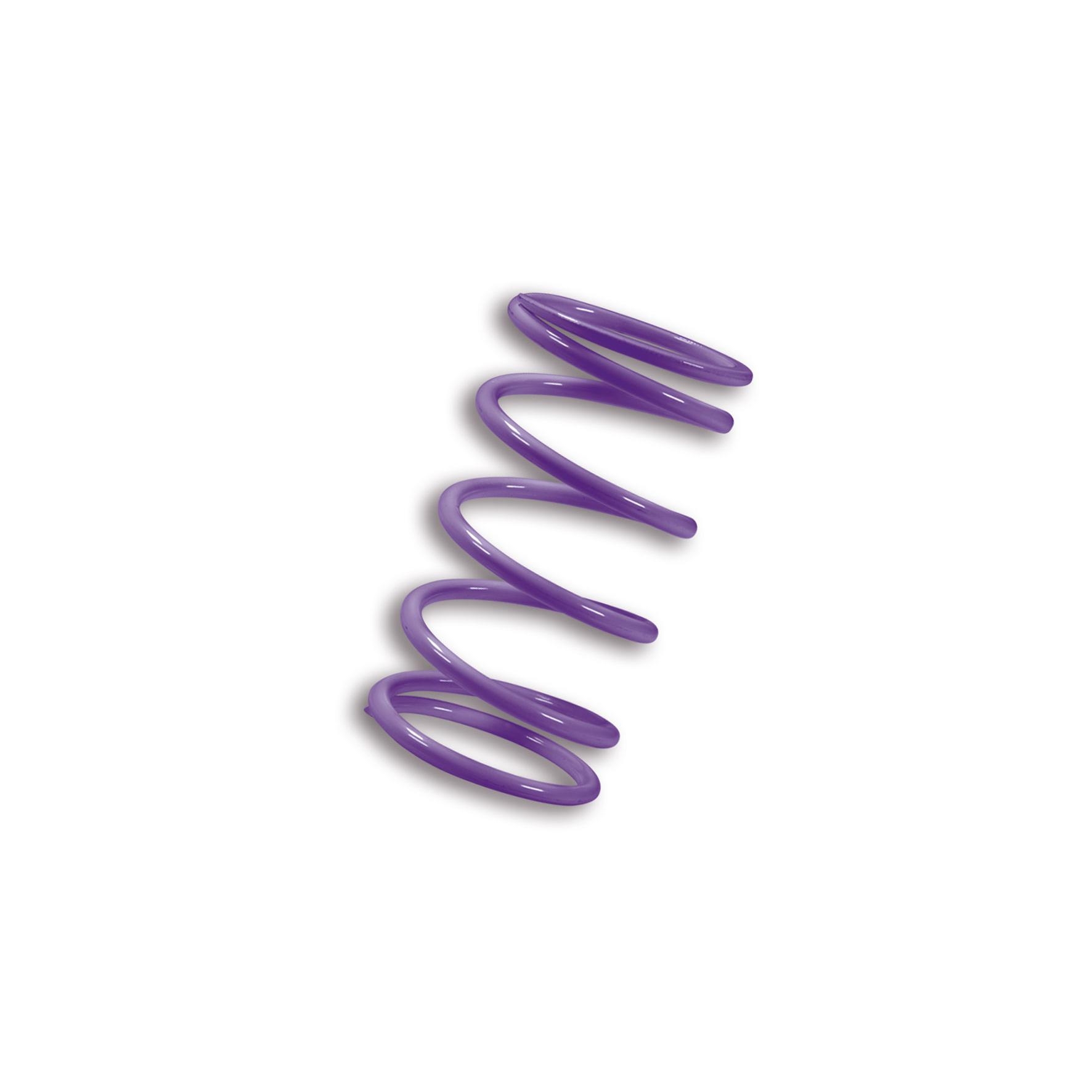 Ressort de poussée Malossi violet AK 550 2017-