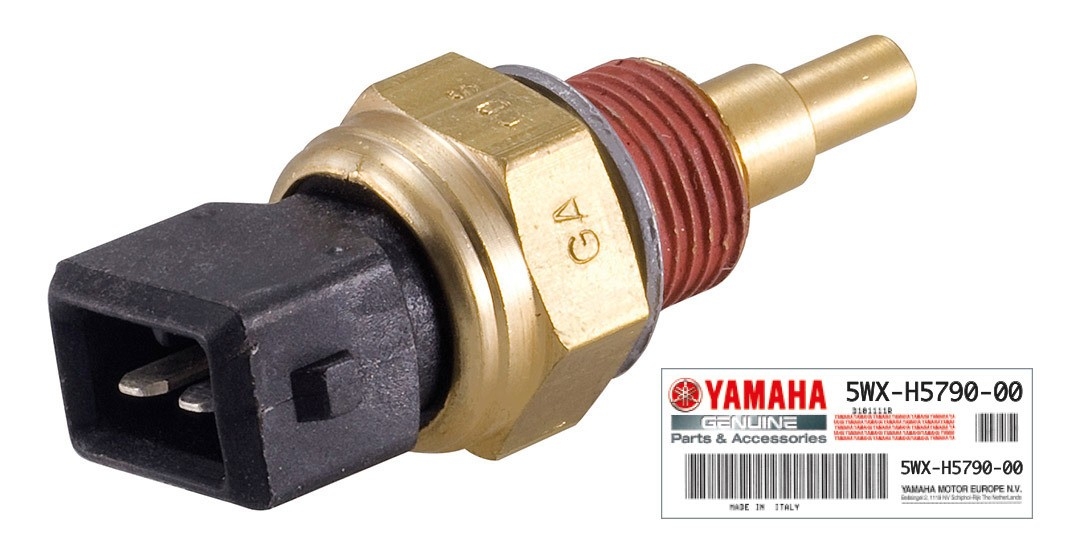 Sonde température Yamaha AM6