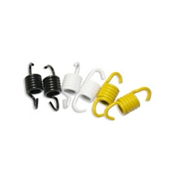 Ressort embrayage Malossi racing Booster/Nitro ø105
