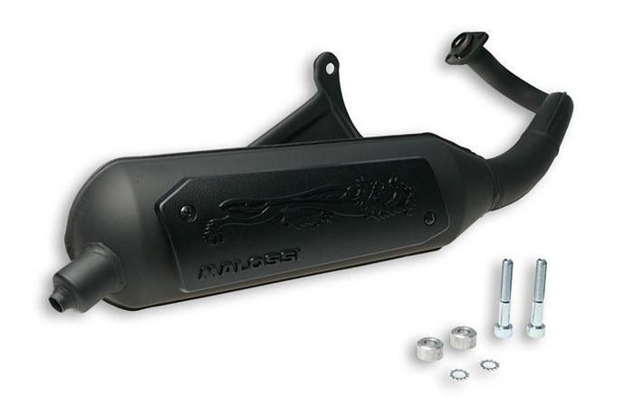Pot d'échappement Malossi Wild Lion NRG/Typhoon