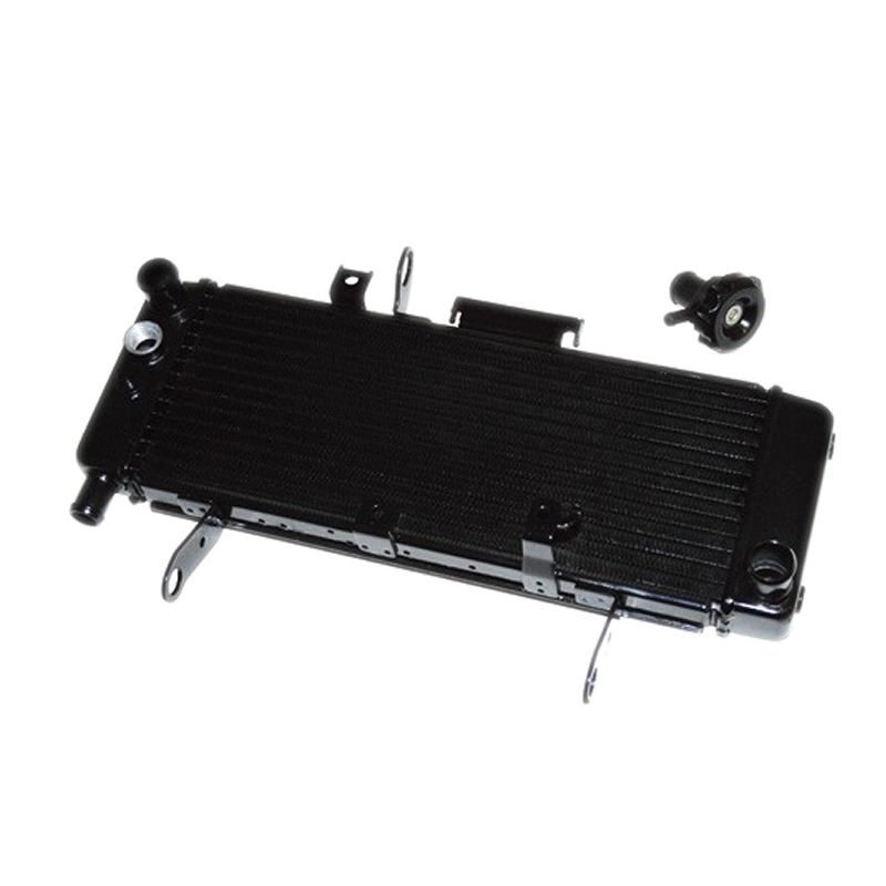 Radiateur d'eau Suzuki SV 650S 03-04