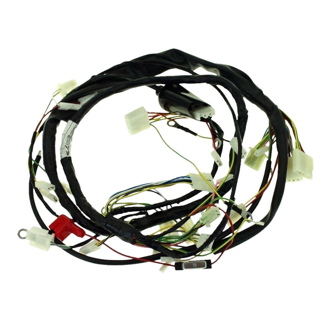 Faisceau électrique complet Derbi Senda / Gilera SMT Euro3 06-